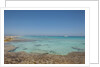 Balearic Islands - beach called 'platja de LLevant', parc des salines by Anonymous