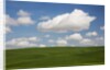 Spring Rolling Hills of Wheat and Clouds by Anonymous