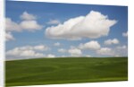 Spring Rolling Hills of Wheat and Clouds by Anonymous