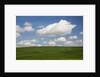 Spring Rolling Hills of Wheat and Clouds by Anonymous