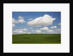 Spring Rolling Hills of Wheat and Clouds by Anonymous