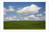 Spring Rolling Hills of Wheat and Clouds by Anonymous