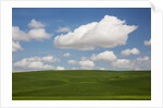 Spring Rolling Hills of Wheat and Clouds by Anonymous
