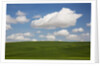 Spring Rolling Hills of Wheat and Clouds by Anonymous