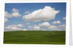 Spring Rolling Hills of Wheat and Clouds by Anonymous