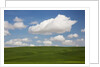 Spring Rolling Hills of Wheat and Clouds by Anonymous