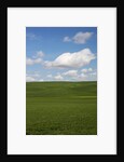 Spring Rolling Hills of Wheat and Clouds by Anonymous