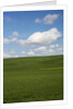 Spring Rolling Hills of Wheat and Clouds by Anonymous