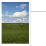 Spring Rolling Hills of Wheat and Clouds by Anonymous