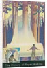 History of Paper Making, Egypt to Pine Forest by Anonymous
