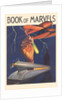 Book of Marvels by Anonymous