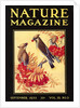 Nature Magazine Cover, Birds by Anonymous