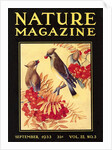 Nature Magazine Cover, Birds by Anonymous