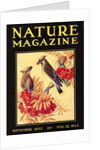 Nature Magazine Cover, Birds by Anonymous