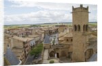Olite from the top of the Royal Palace by Anonymous