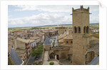 Olite from the top of the Royal Palace by Anonymous