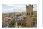 Olite from the top of the Royal Palace by Anonymous