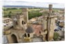 Towers and batttlements of the Royal Palace in Olite by Anonymous