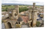 Towers and batttlements of the Royal Palace in Olite by Anonymous