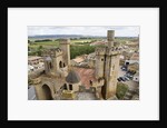 Towers and batttlements of the Royal Palace in Olite by Anonymous