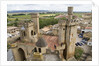 Towers and batttlements of the Royal Palace in Olite by Anonymous