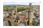 Towers and batttlements of the Royal Palace in Olite by Anonymous