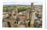 Towers and batttlements of the Royal Palace in Olite by Anonymous