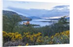 Eilean Donan Castle, on Loch Duich by Anonymous