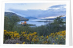 Eilean Donan Castle, on Loch Duich by Anonymous