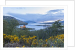 Eilean Donan Castle, on Loch Duich by Anonymous
