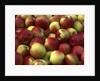 McIntosh apples by Anonymous