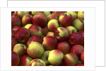 McIntosh apples by Anonymous