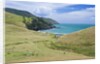 Hiking the Coromandel Coastal Walkway by Anonymous
