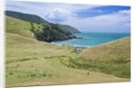 Hiking the Coromandel Coastal Walkway by Anonymous