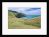 Hiking the Coromandel Coastal Walkway by Anonymous