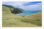 Hiking the Coromandel Coastal Walkway by Anonymous