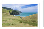 Hiking the Coromandel Coastal Walkway by Anonymous