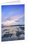 Kaikoura Sunset by Anonymous