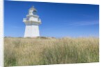 Waipapa Lighthouse by Anonymous