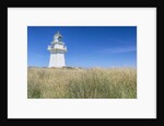 Waipapa Lighthouse by Anonymous