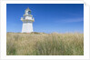 Waipapa Lighthouse by Anonymous