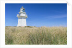 Waipapa Lighthouse by Anonymous