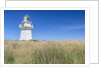 Waipapa Lighthouse by Anonymous