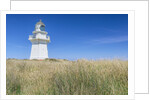 Waipapa Lighthouse by Anonymous
