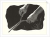 Dowsing Rod by Anonymous