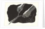 Dowsing Rod by Anonymous