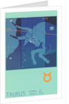 Taurus, The Bull by Anonymous