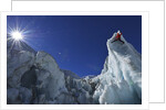 Ice climbing in the Bernese Oberland, Swiss Alps by Anonymous