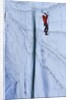Ice climbing in the Bernes Oberland, Swiss Alps by Anonymous