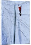 Ice climbing in the Bernes Oberland, Swiss Alps by Anonymous